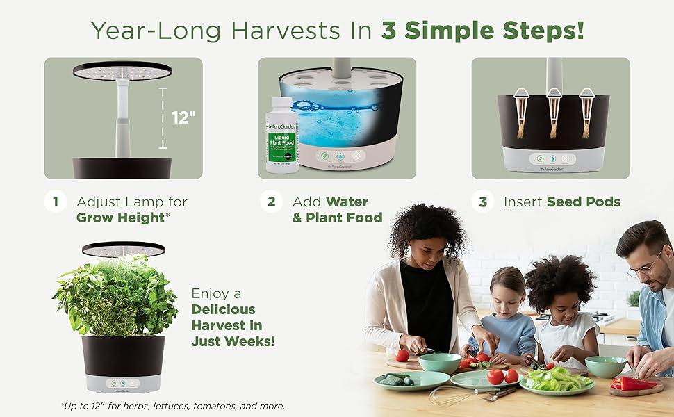 Year-Long Harvest In 3 Simple Steps