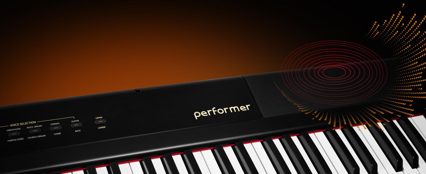 performer-5.jpg