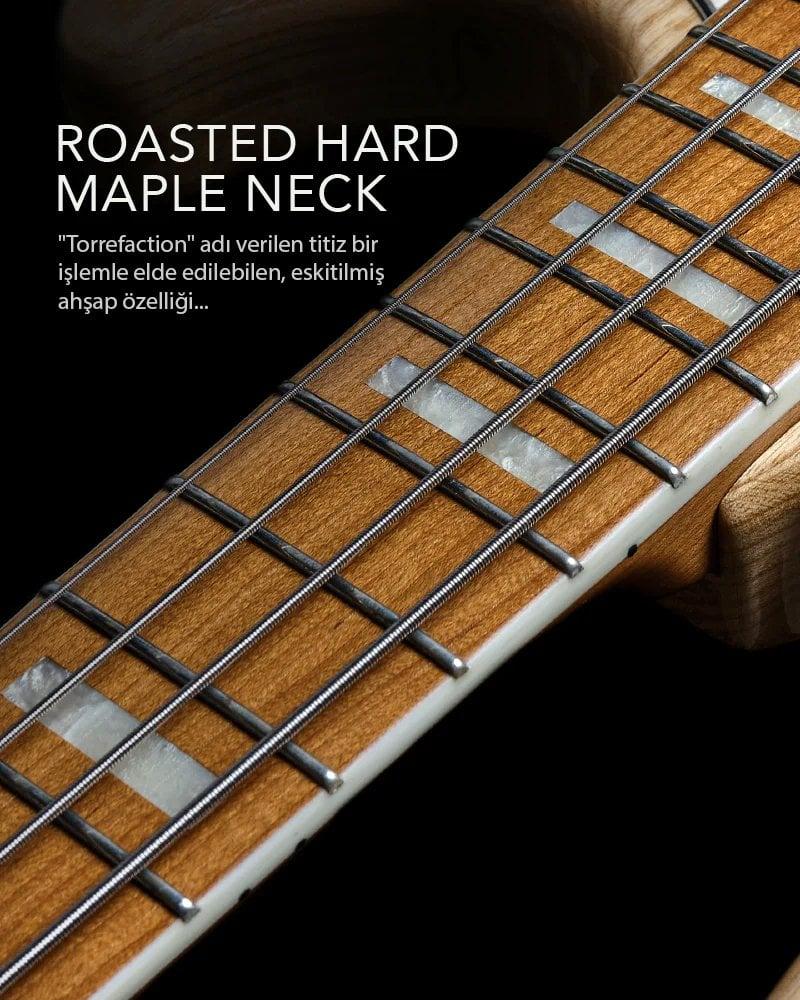 sire V8 jazz bass gitar
