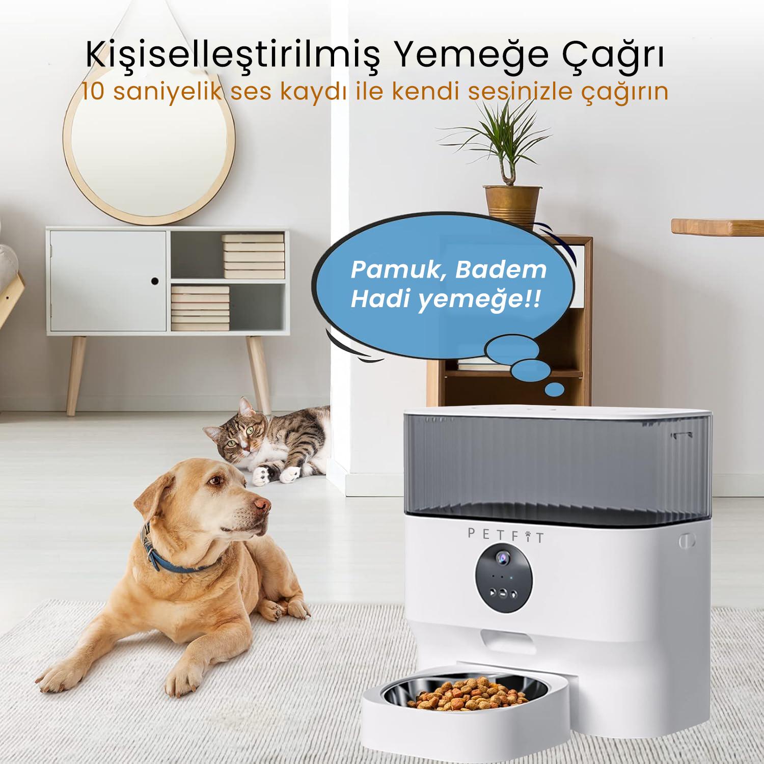 PETFİT