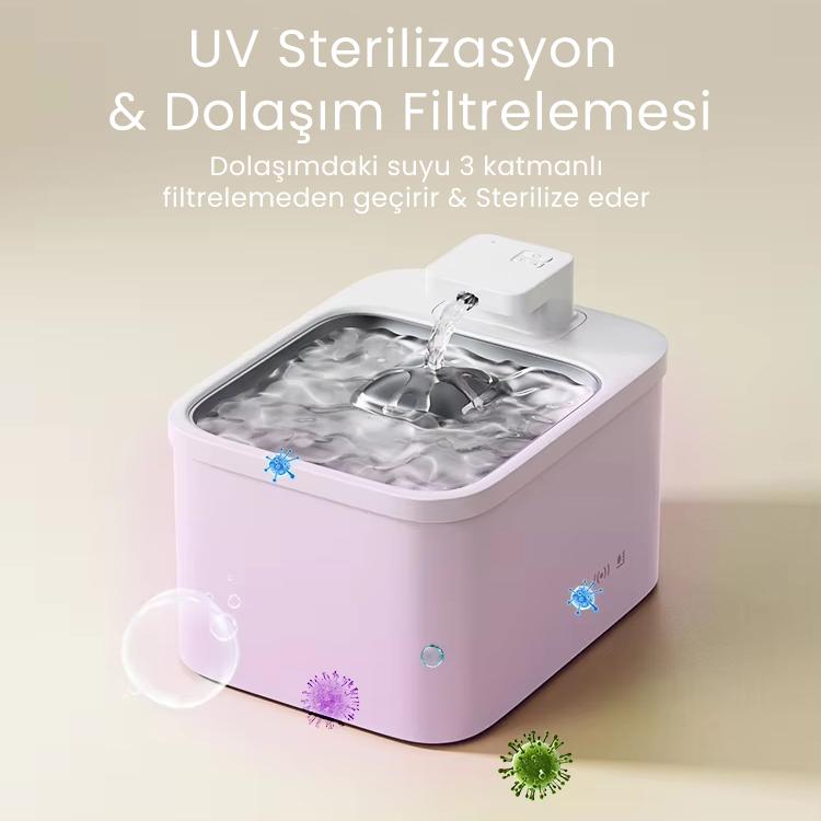 PETFİT