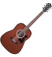 Ibanez V54NJP-OPN Jampack Serisi - Akustik Gitar Kiti - Açık Gözenek Doğal