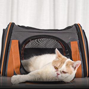 kedi taşıyıcı