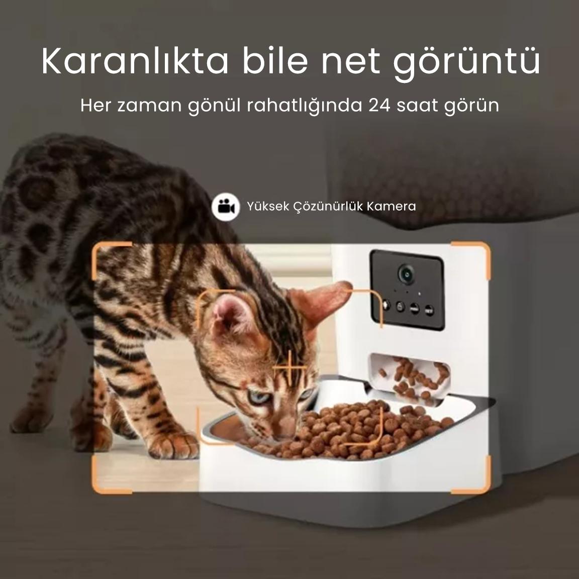 PETFİT