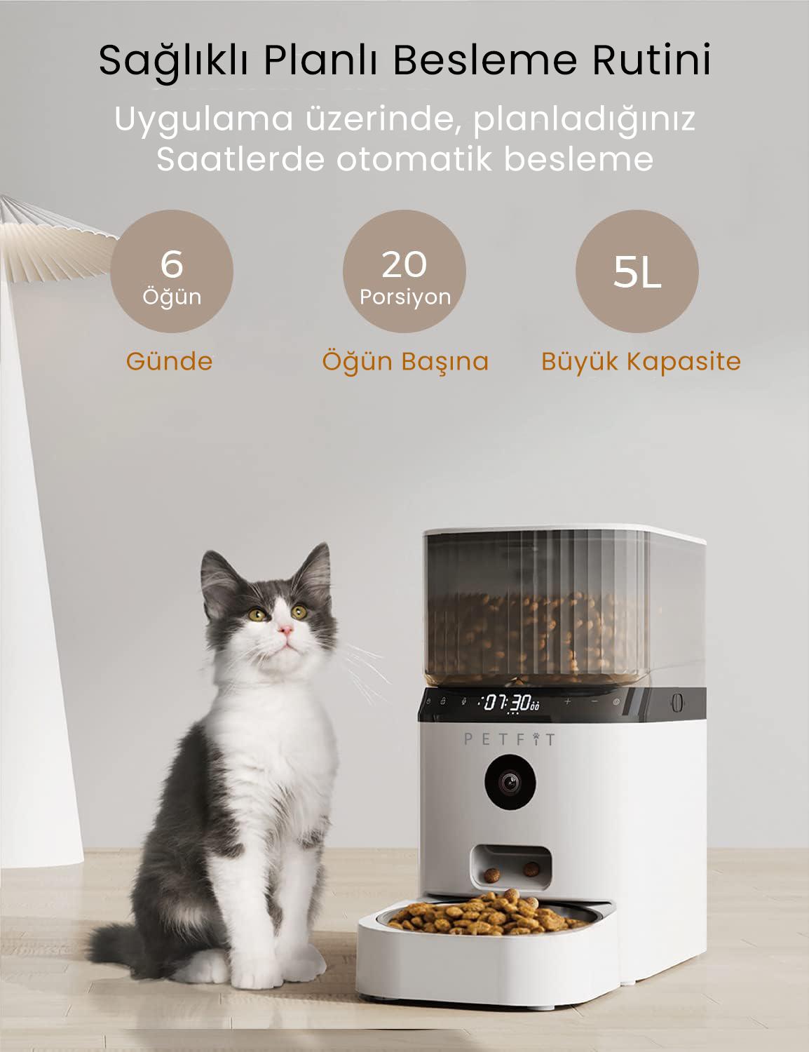 PETFİT