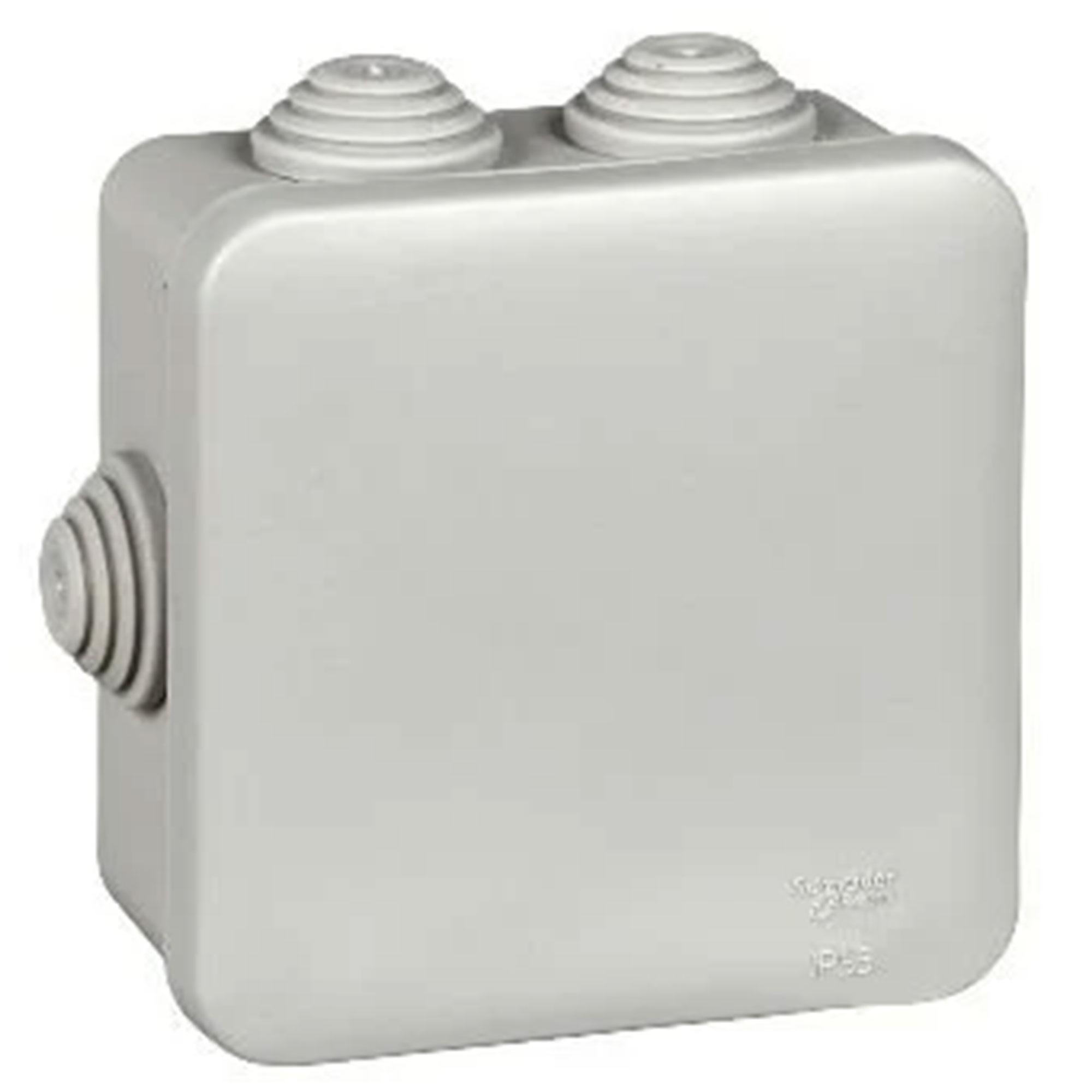 IP55