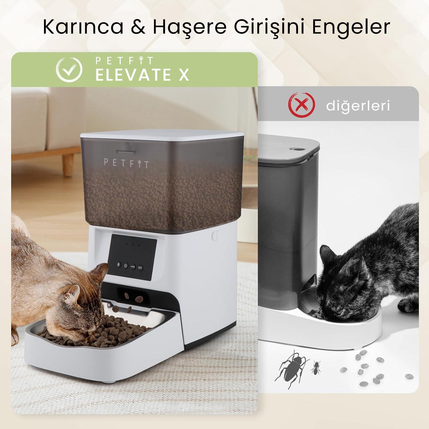 PETFİT