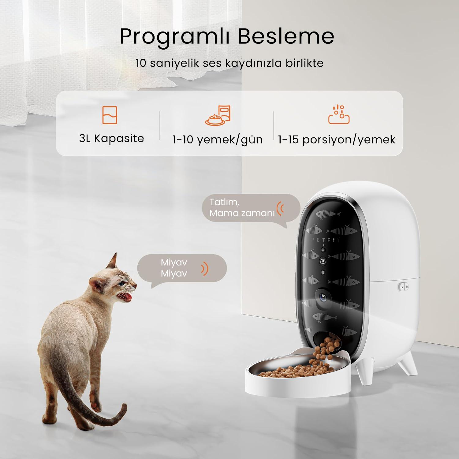 PETFİT