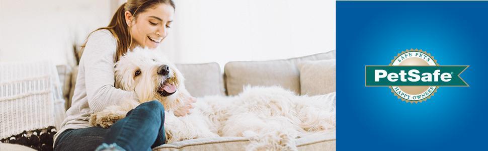 Sahibinin yanında kanepede yatan köpek