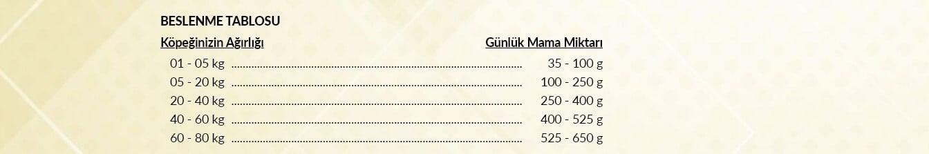 Felicia Somonlu Yetişkin Köpek Maması 