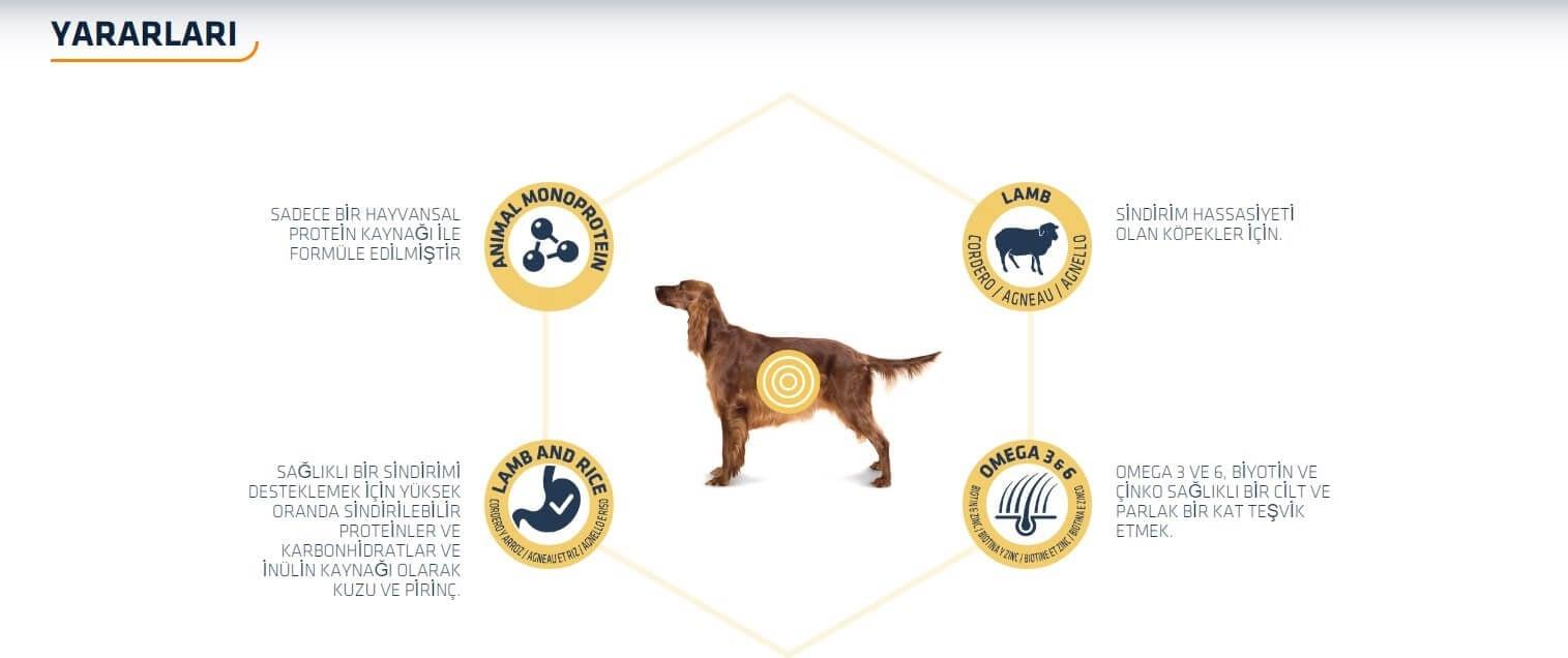 Advance Sensitive Kuzu Etli Hassas Yetişkin Köpek Maması