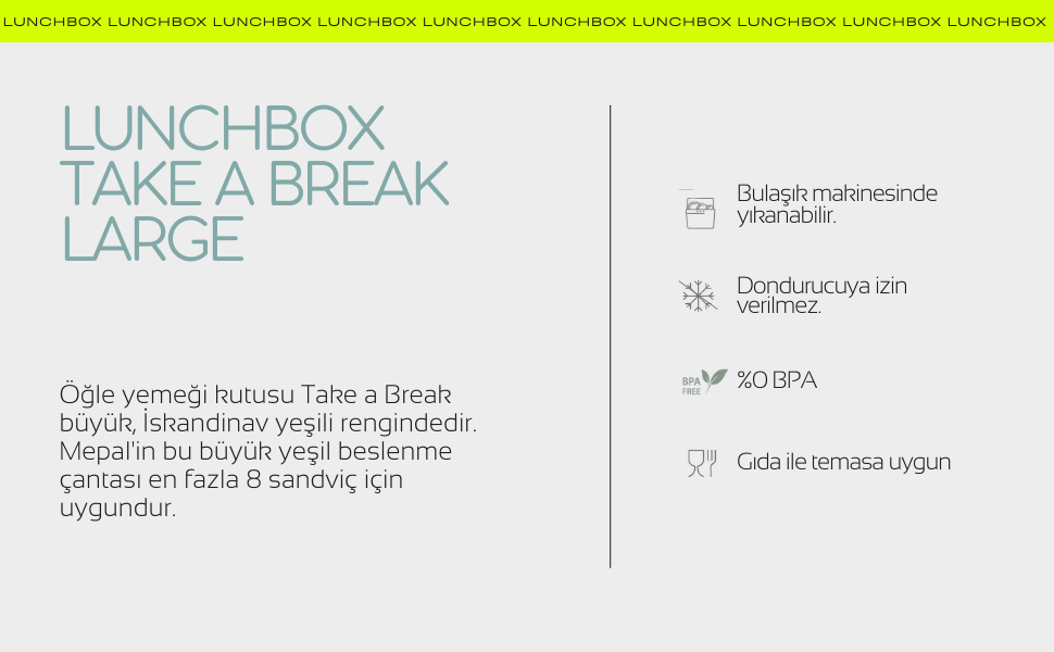 lunch box 3
