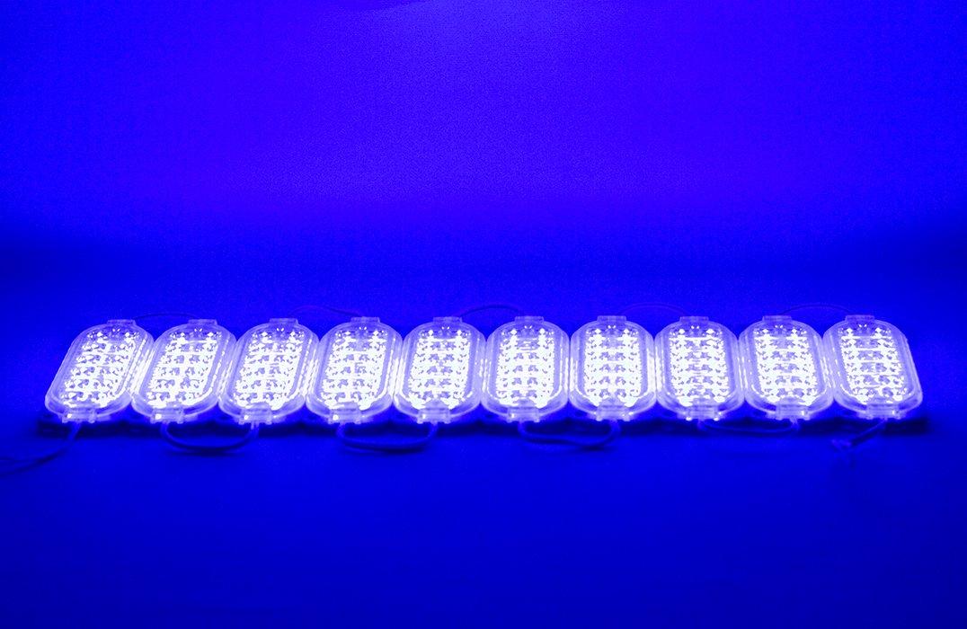 24 Volt 2.4 Watt Tek Renk Mavi 2835 Modül Led