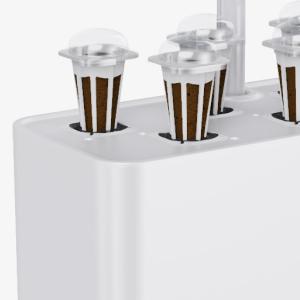 bitki bahçesi kiti kapalı