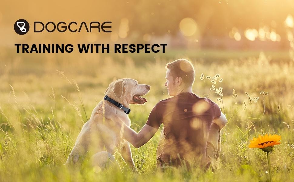 köpek tasması