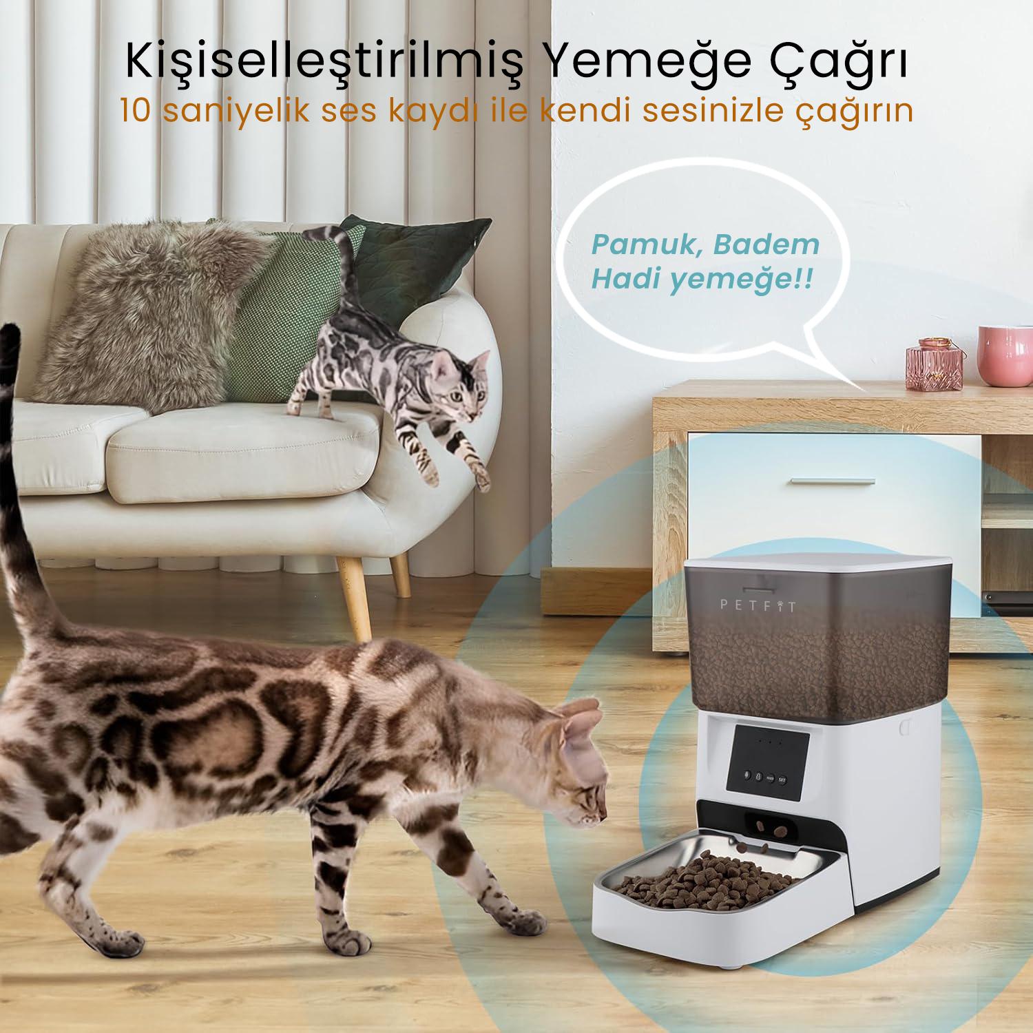 PETFİT