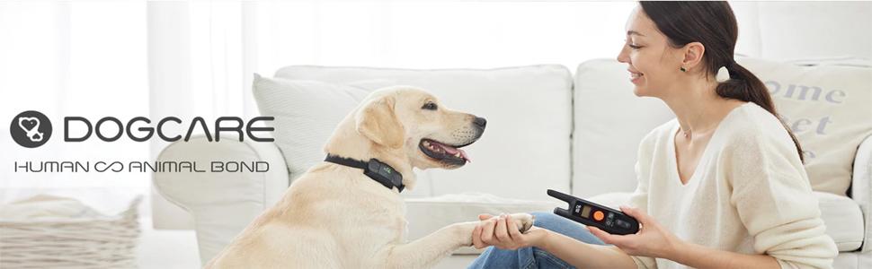 köpek eğitim tasması