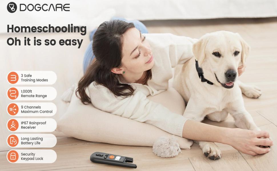 köpek eğitim tasması