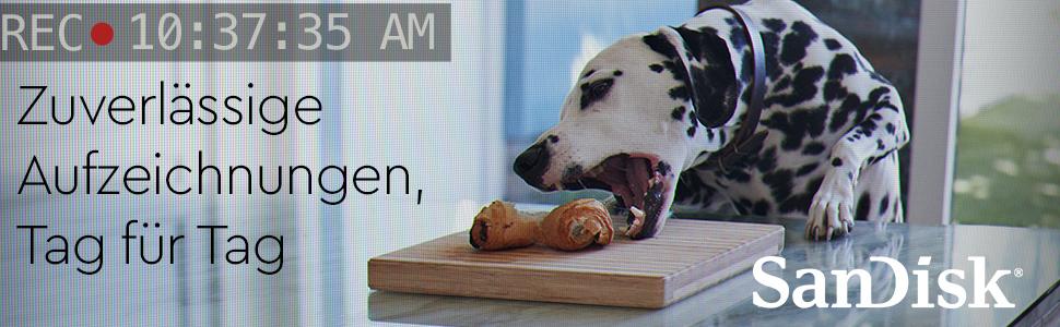 High Endurance bellek kartı, video izleme. Hafıza kartı